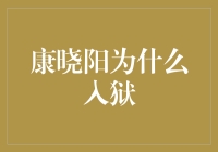 康晓阳与神秘的法律制裁：尘封往事的解密