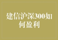 建信沪深300真的能帮你赚钱吗？