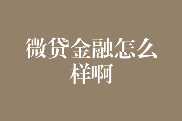 微贷金融怎么样啊