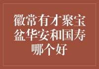 徽常有才聚宝盆华安与国寿人身保险产品对比分析报告