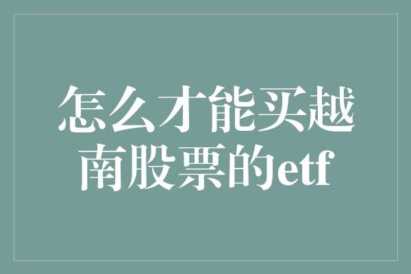 怎么才能买越南股票的etf