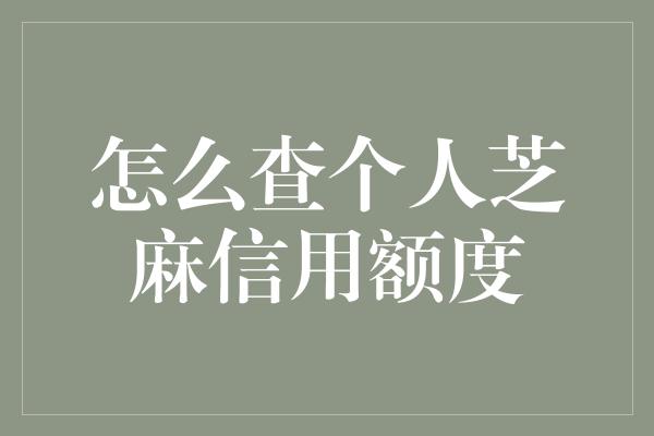 怎么查个人芝麻信用额度