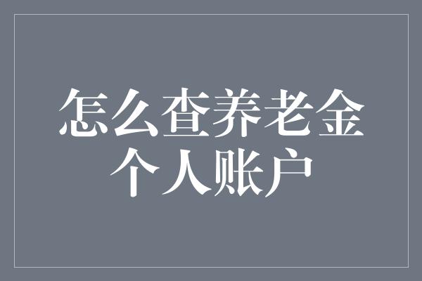 怎么查养老金个人账户