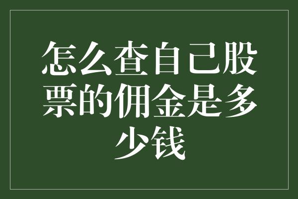 怎么查自己股票的佣金是多少钱