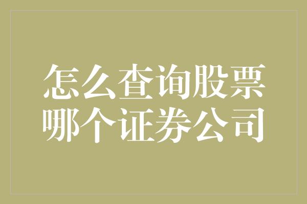 怎么查询股票哪个证券公司