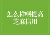 如何有效地提高芝麻信用分：策略与技巧