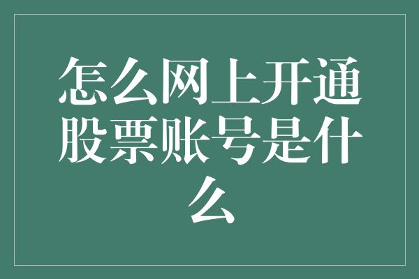 怎么网上开通股票账号是什么