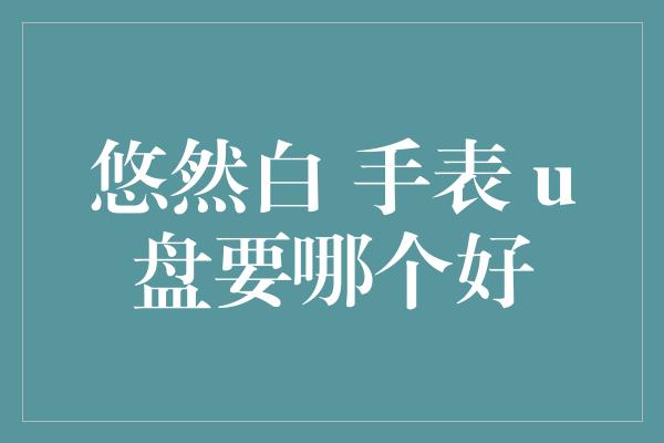 悠然白 手表 u盘要哪个好