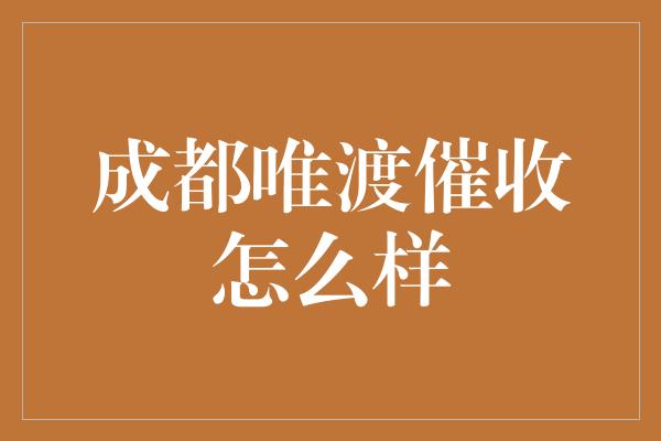 成都唯渡催收怎么样