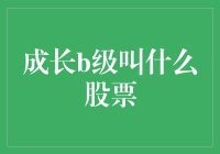 成长B级是啥玩意儿？股票界的新宠还是过气网红？