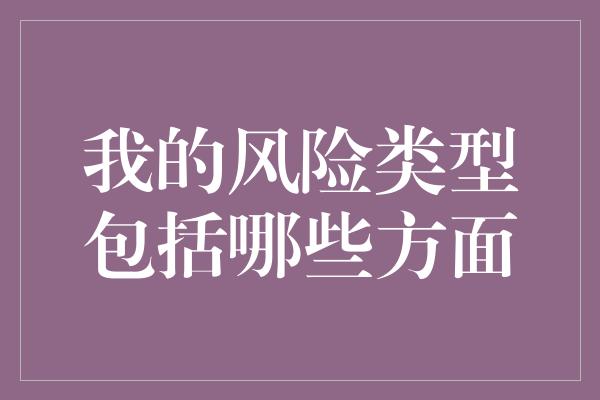 我的风险类型包括哪些方面