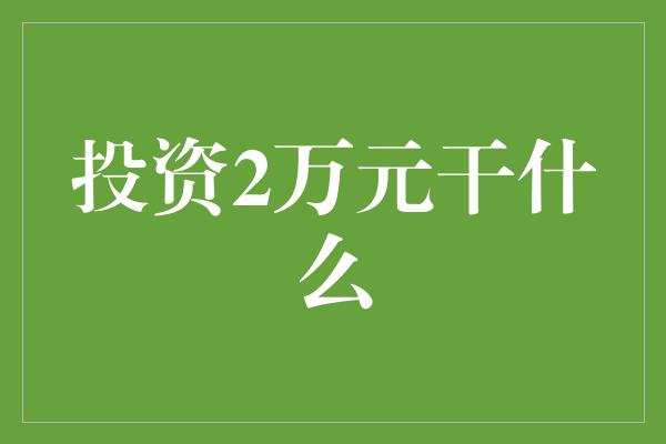 投资2万元干什么