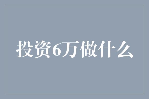 投资6万做什么