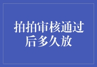 拍拍审核通过后多久放？我没上大学那些年都在做什么？