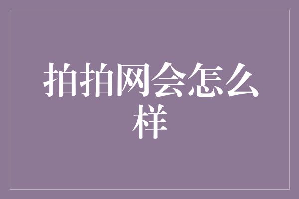 拍拍网会怎么样