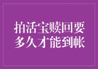 拍活宝赎回到底要多久才到账？新手必看！