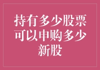 股票持有量与新股申购额度：适配策略的深度解析