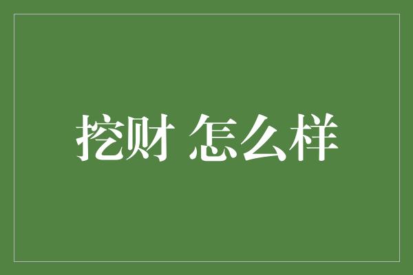 挖财 怎么样