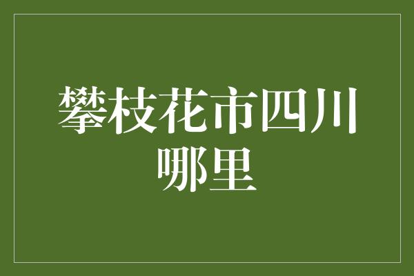 攀枝花市四川哪里