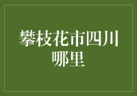 攀枝花市：四川宝库中一颗璀璨的明珠