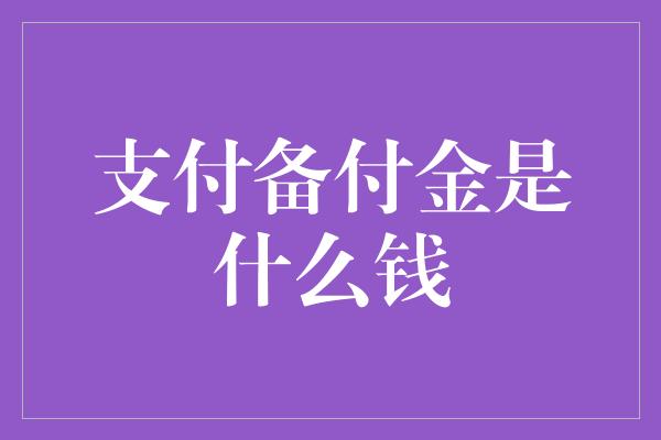 支付备付金是什么钱