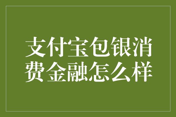 支付宝包银消费金融怎么样