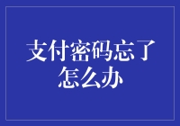 你一定不想知道的：当支付密码忘记时的挣扎与重生