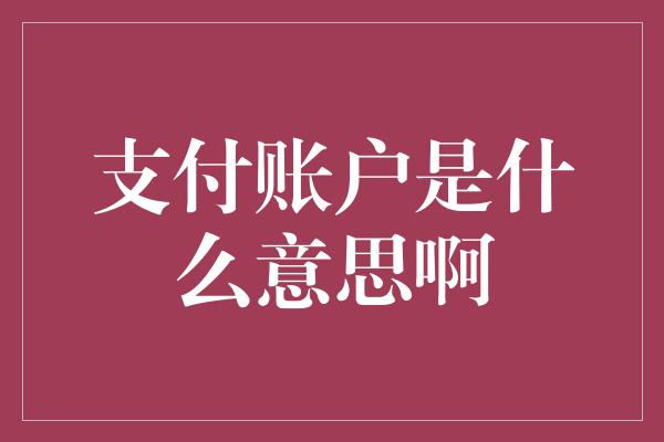 支付账户是什么意思啊