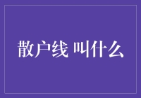 从散户线到散户心理：解读散户交易心理与市场行为