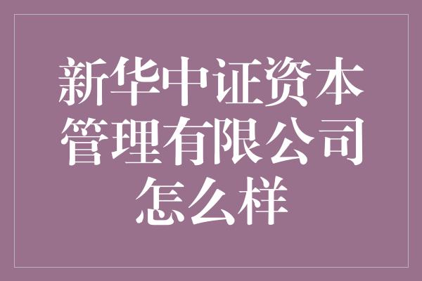 新华中证资本管理有限公司怎么样