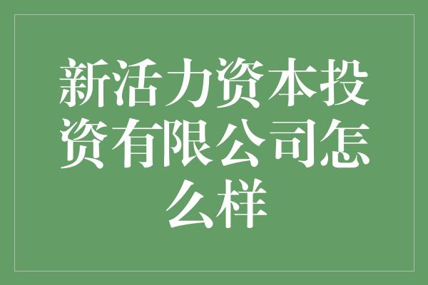 新活力资本投资有限公司怎么样