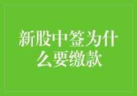 新股中签缴款：股票市场投资的新规则