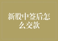 新股中签后如何顺利交款：一份详尽指南