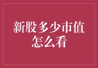 如何查询新股的市值：全方位解析