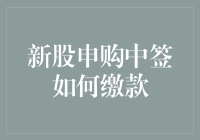 新股申购中签缴款指南：从保险柜到银行的奇幻之旅