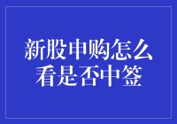 公开申购新股的中签查询与策略解析：新手指南