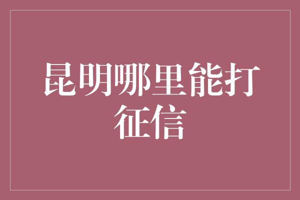 昆明哪里能打征信