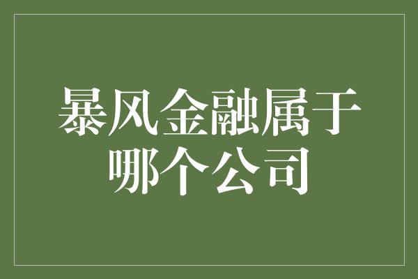 暴风金融属于哪个公司