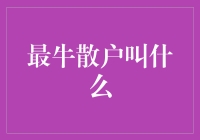 中国股市里那些最牛散户们：从草根到王者的传奇之路