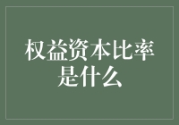 权益资本比率：一个股民的浪漫幻想