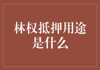 林权抵押，你造吗？居然能解锁这些技能！