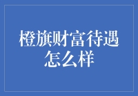 橙旗财富：个性化金融规划服务的探索者