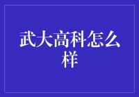 武大高科：科技创新的新锐力量