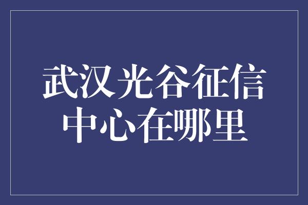 武汉光谷征信中心在哪里