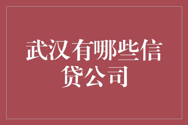 武汉有哪些信贷公司