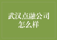 武汉点融：金融科技的创新者与实践者