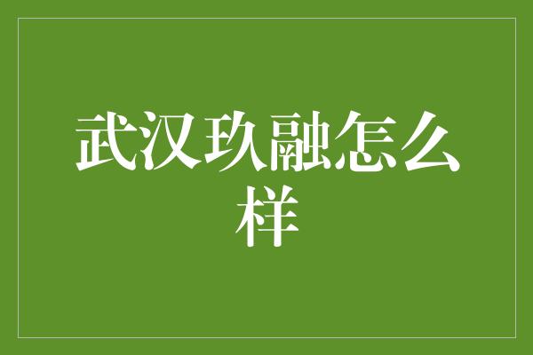 武汉玖融怎么样