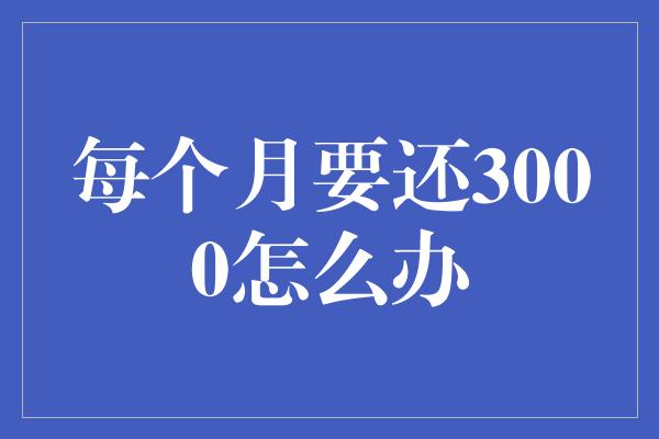 每个月要还3000怎么办