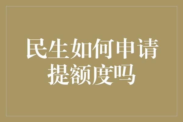 民生如何申请提额度吗