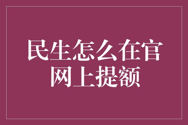 民生怎么在官网上提额